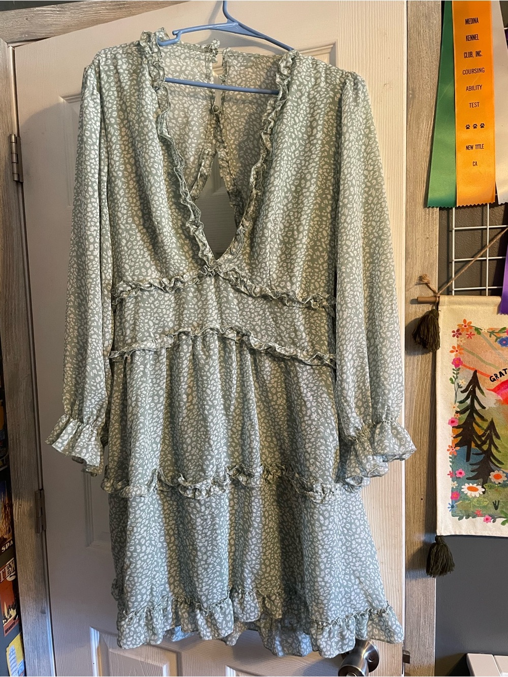 Size Large Dress with open back and shear sleeves